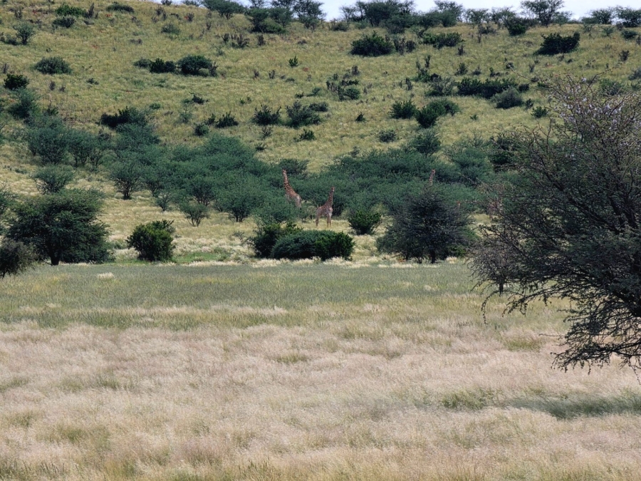 Commercial Property for Sale in Griekwastad Rural Northern Cape